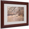 thumbnail image 1 of Trademark Fine Art "Skylight" Matted Framed Art by Philippe Sainte-Laudy, 1 of 2