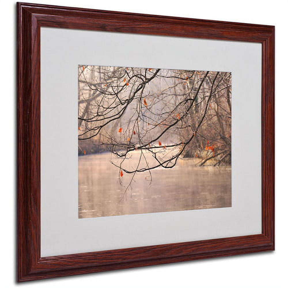Trademark Fine Art "Skylight" Matted Framed Art by Philippe Sainte-Laudy