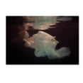 thumbnail image 1 of Trademark Fine Art 'Sleeping Beauty' Canvas Art by Gabriela Slegrova, 1 of 3