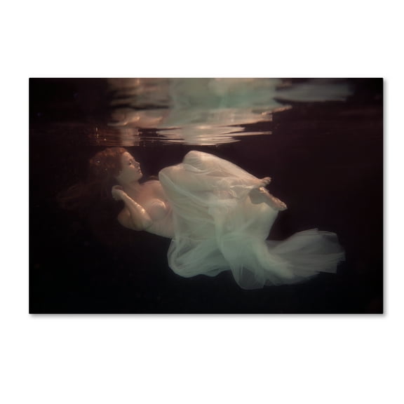 Trademark Fine Art 'Sleeping Beauty' Canvas Art by Gabriela Slegrova