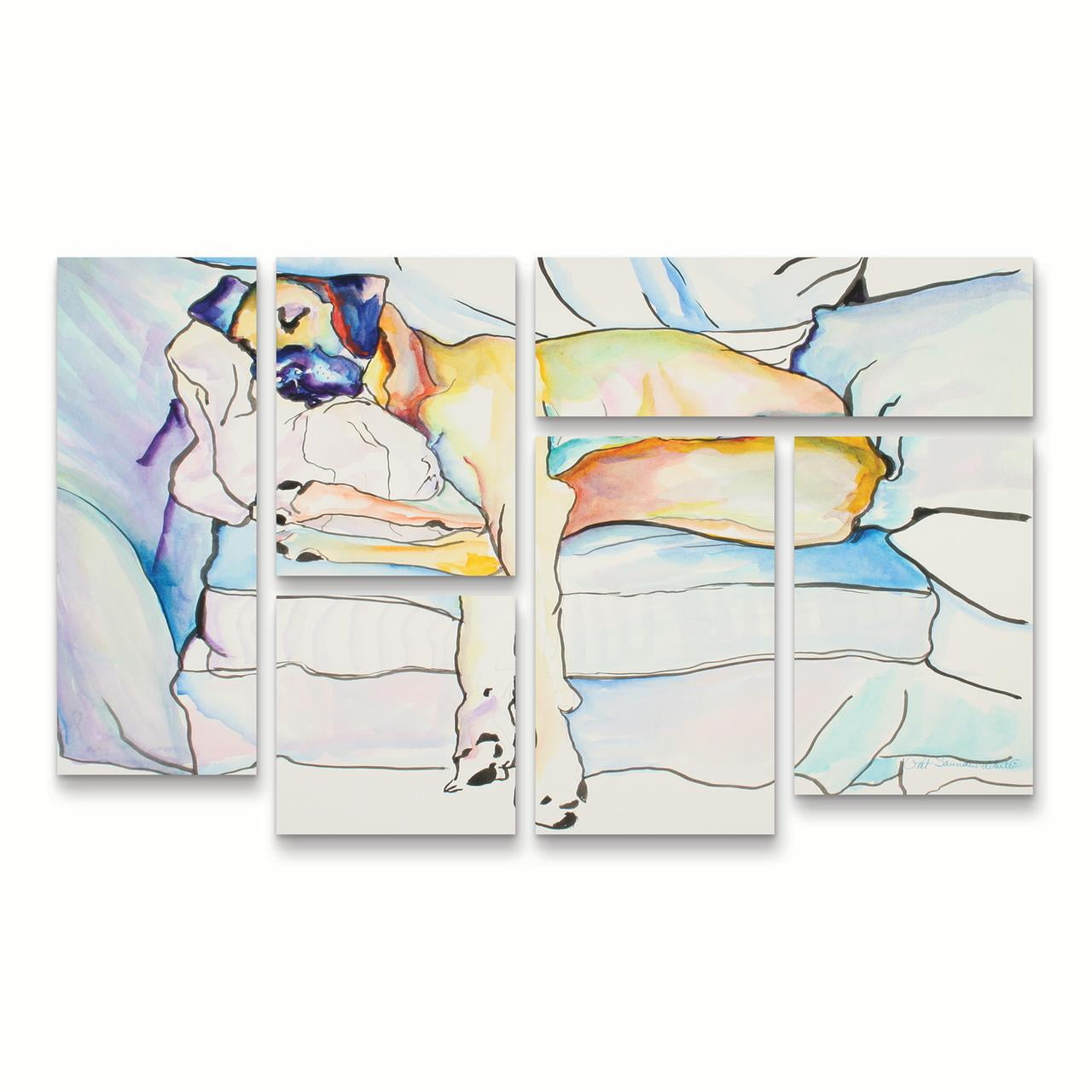 Trademark Fine Art 'Sleeping Beauty' Canvas Art by Pat Saunders-White