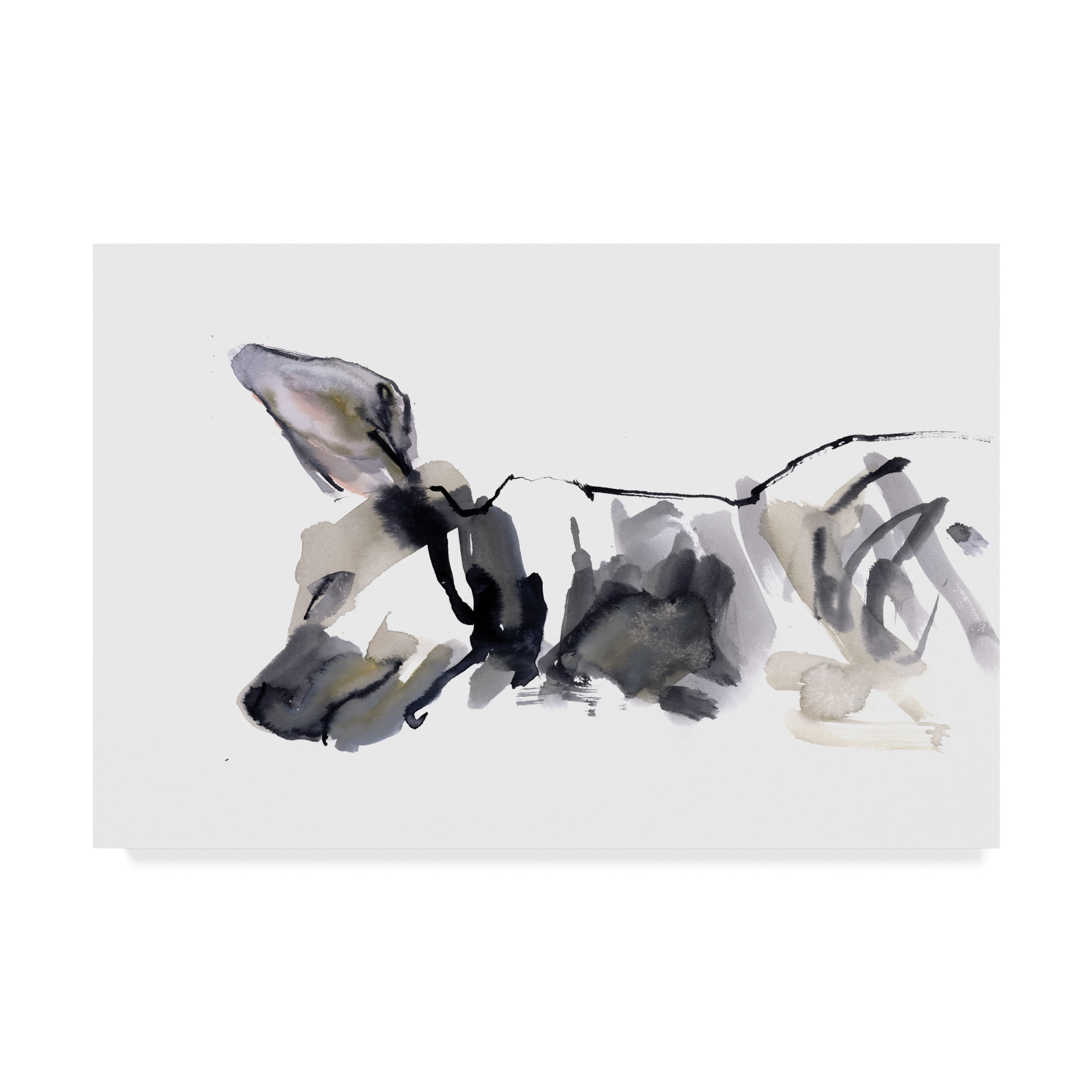 Trademark Fine Art 'Sleeping Hyena' Canvas Art by Mark Adlington
