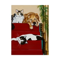 Trademark Fine Art 'Sleeping On The Steps' Canvas Art by Jan Panico