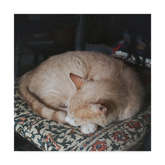 Trademark Fine Art 'Sleepy Afternoon' Canvas Art by Laura Marshall