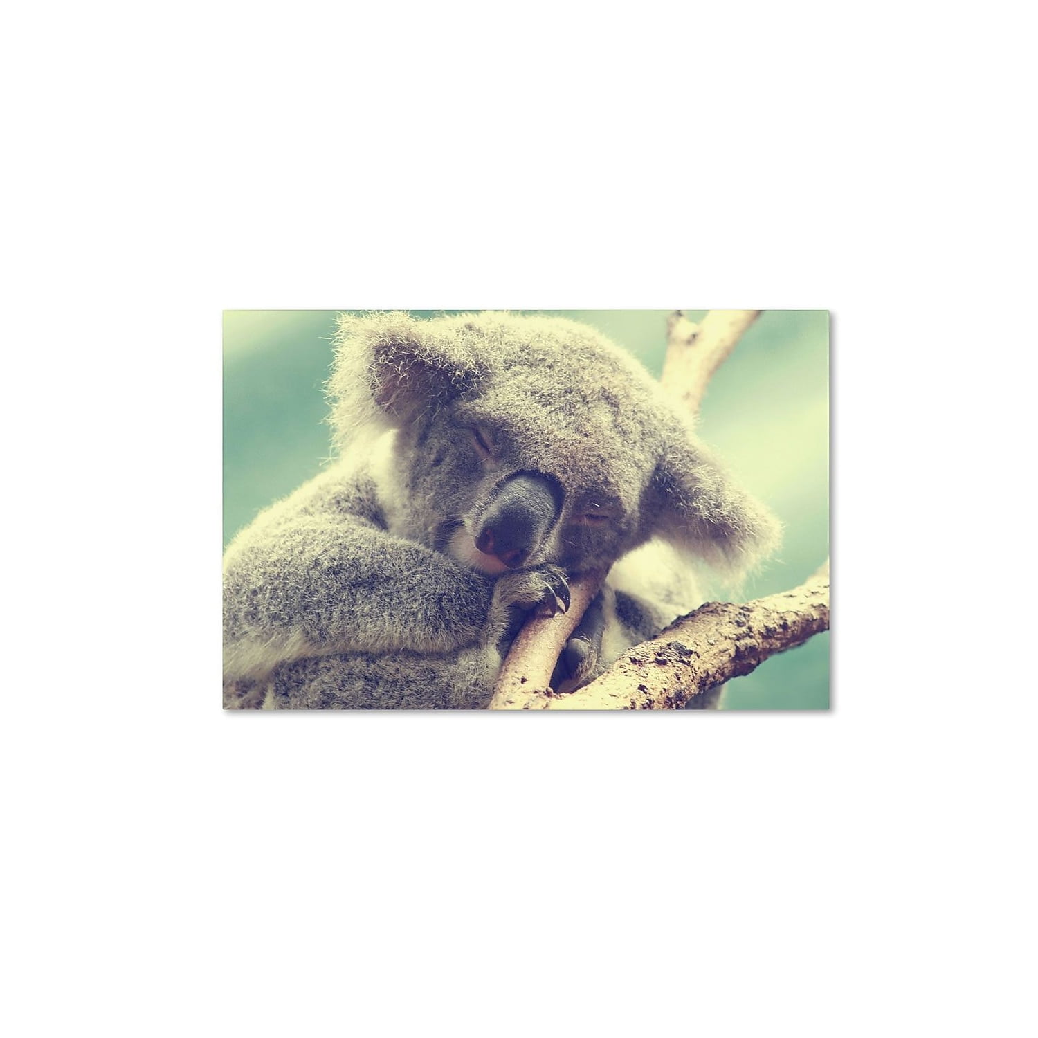 Trademark Fine Art "Sleepy Head" Canvas Art by Beata Czyzowska Young