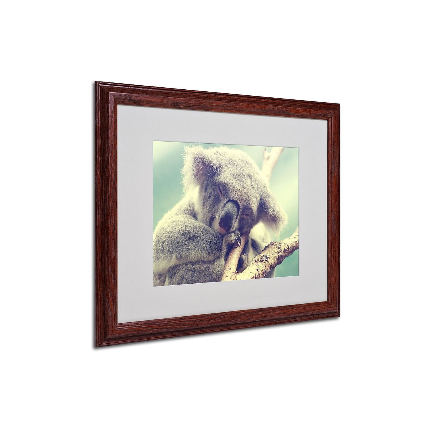 Trademark Fine Art "Sleepy Head" Framed Canvas Art by Beata Czyzowska Young