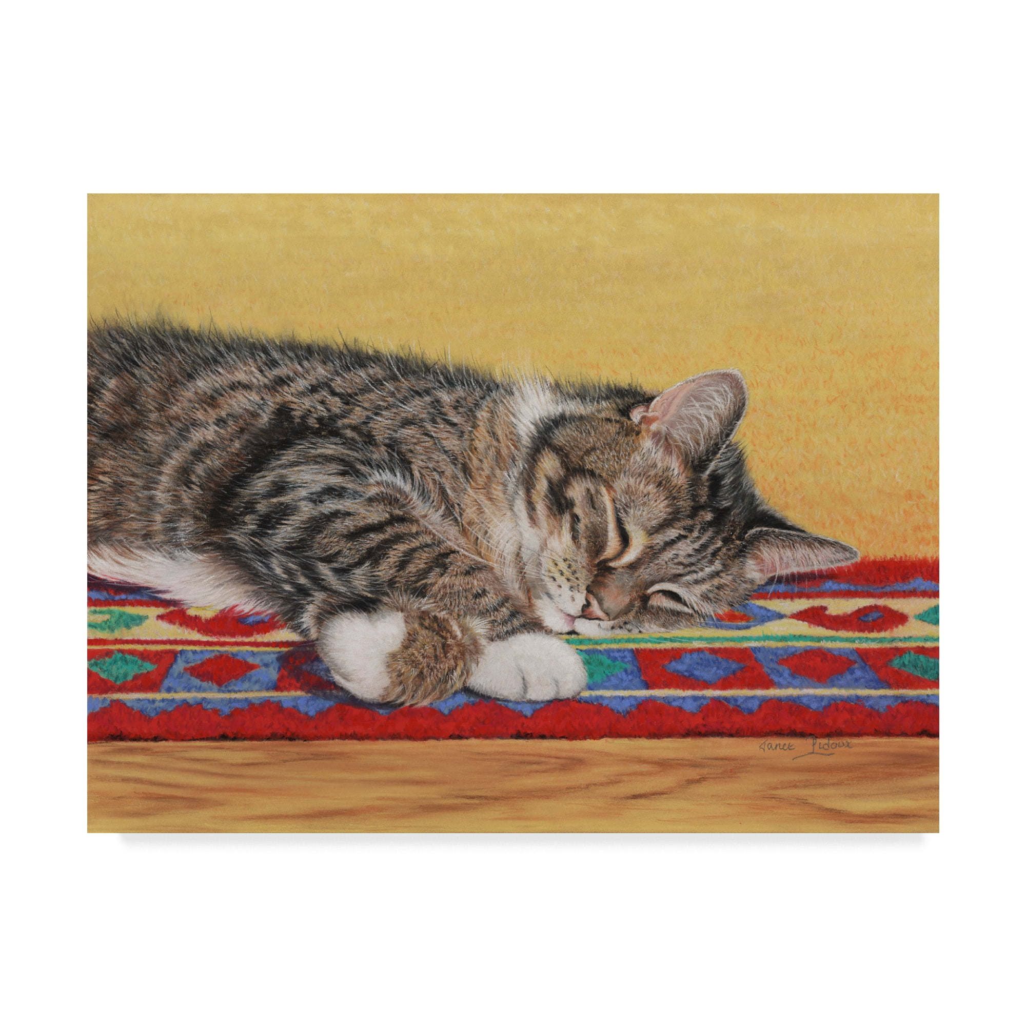 Sleepy Sam Cat on Colorful Carpet Canvas Art