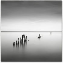 Trademark Fine Art "Slow Fade" Canvas Art by Dave MacVicar