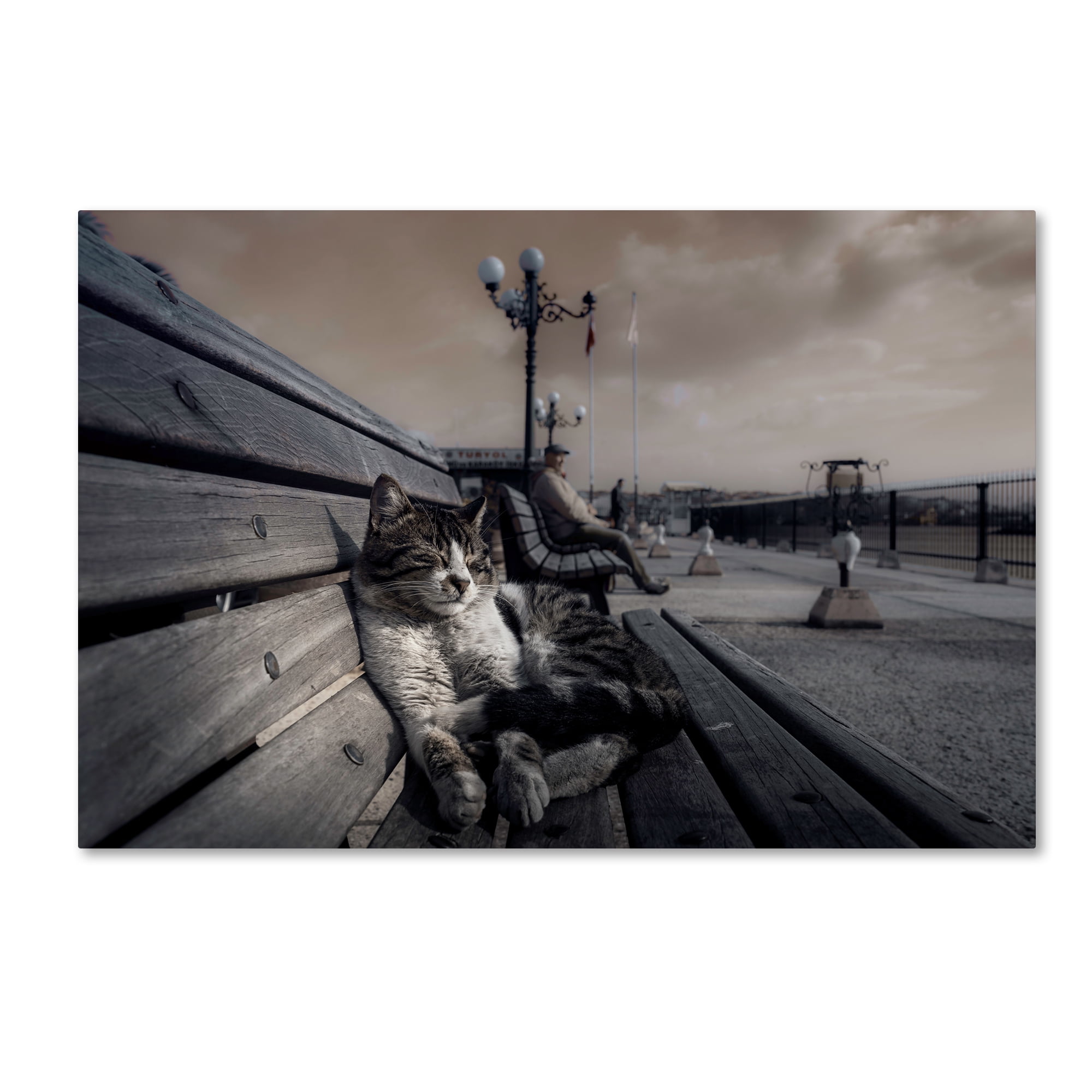 Trademark Fine Art 'Sluggard' Canvas Art by Ahmet Mustafa Arvas