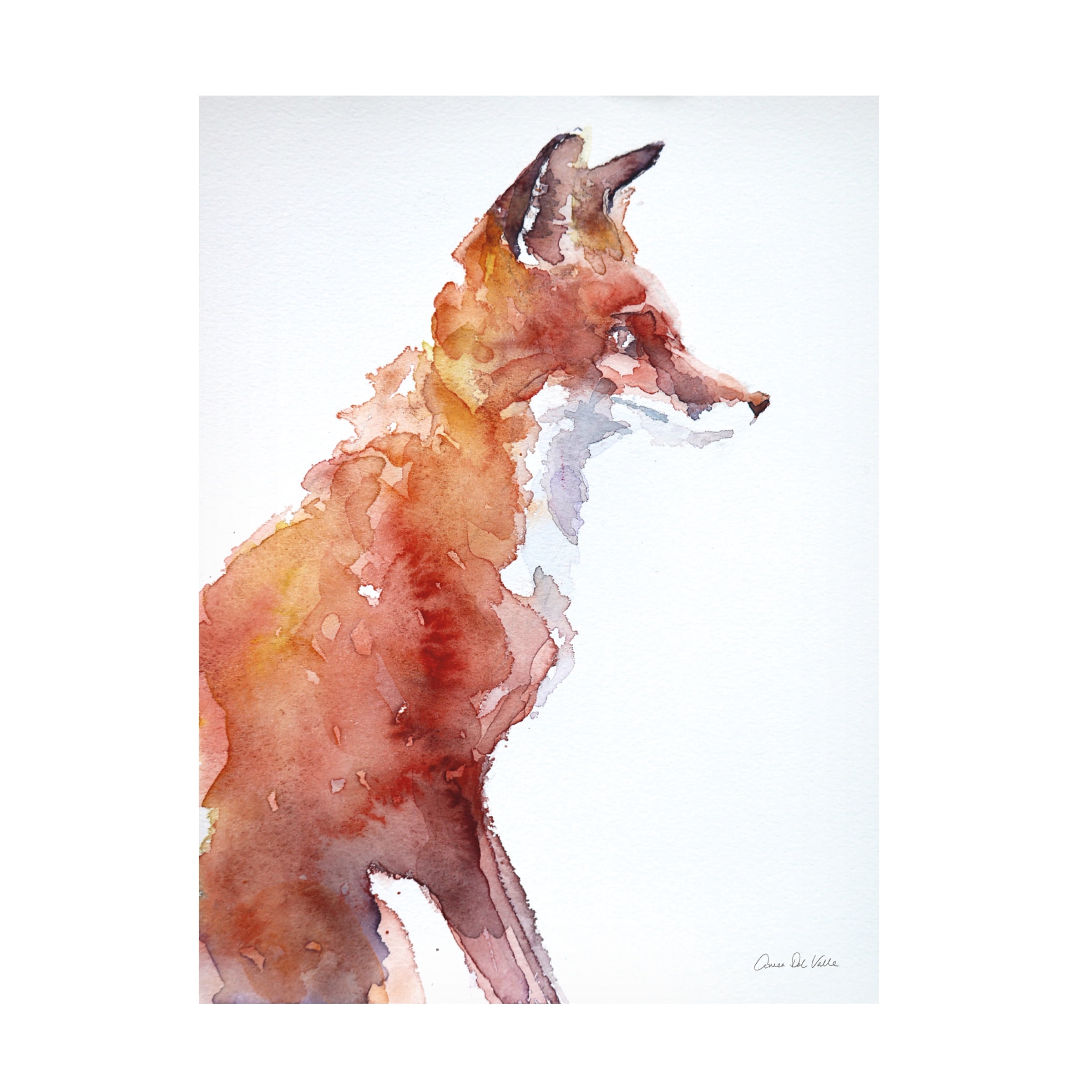Trademark Fine Art 'Sly Fox' Canvas Art by Aimee Del Valle