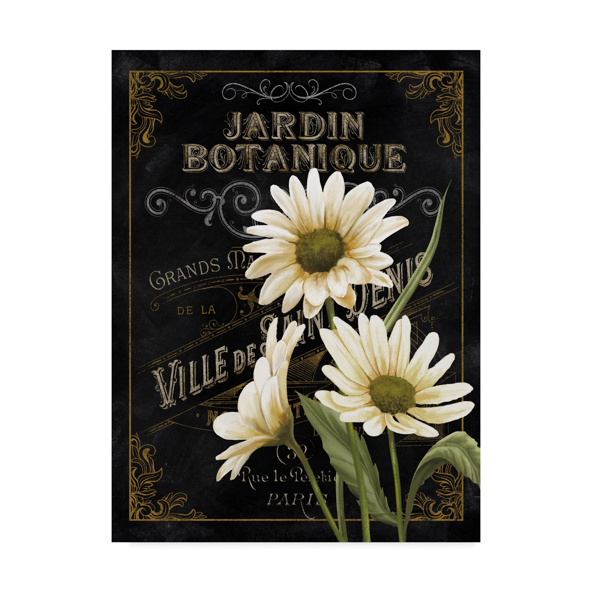 Trademark Fine Art -Abby White 'Small Botanical Collection I' Canvas Art