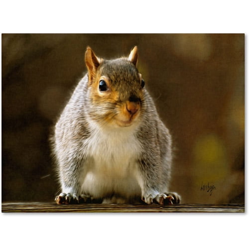 Trademark Fine Art "Smiling Squirrel" Canvas Art by Lois Bryan