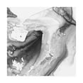 thumbnail image 1 of Trademark Fine Art 'Smoke And Water IV' Canvas Art by Ethan Harper, 1 of 3