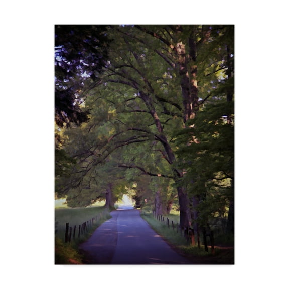 Trademark Fine Art 'Smokies 6' Canvas Art by J.D. McFarlan