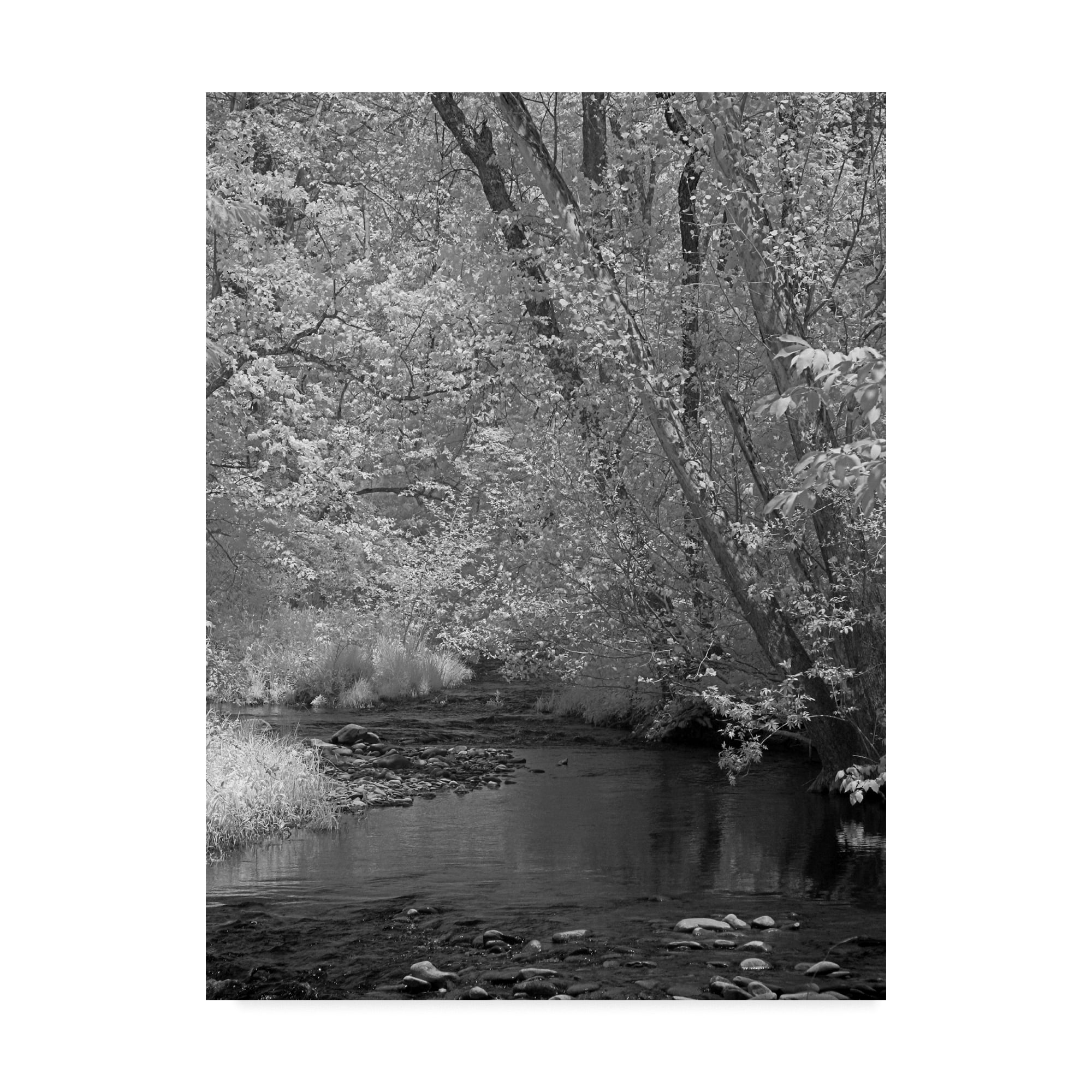 Trademark Fine Art 'Smokies Ir 2' Canvas Art by J.D. McFarlan