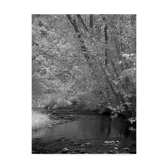 Trademark Fine Art 'Smokies Ir 2' Canvas Art by J.D. McFarlan