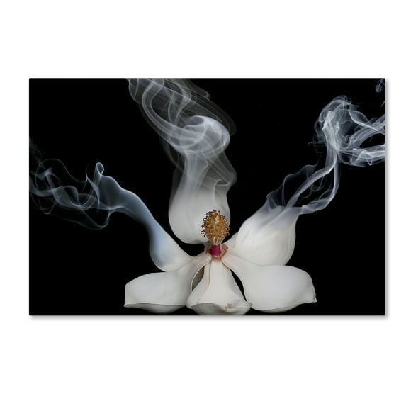 Trademark Fine Art 'Smoking Magnolia' Canvas Art by Lori Hutchison