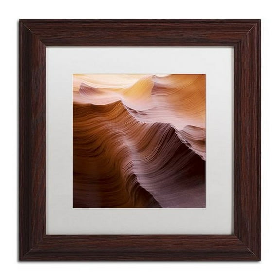 Trademark Fine Art "Smooth I" Canvas Art by Moises Levy White Matte, Wood Frame