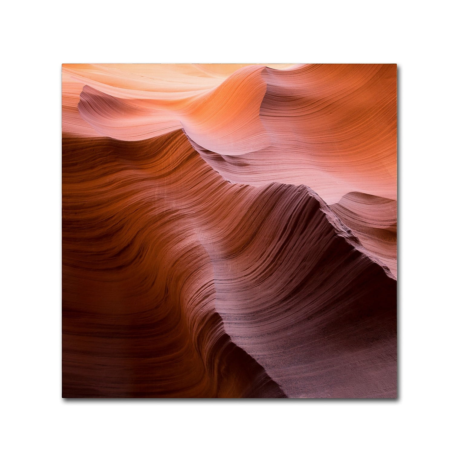 Trademark Fine Art "Smooth I" Canvas Art by Moises Levy