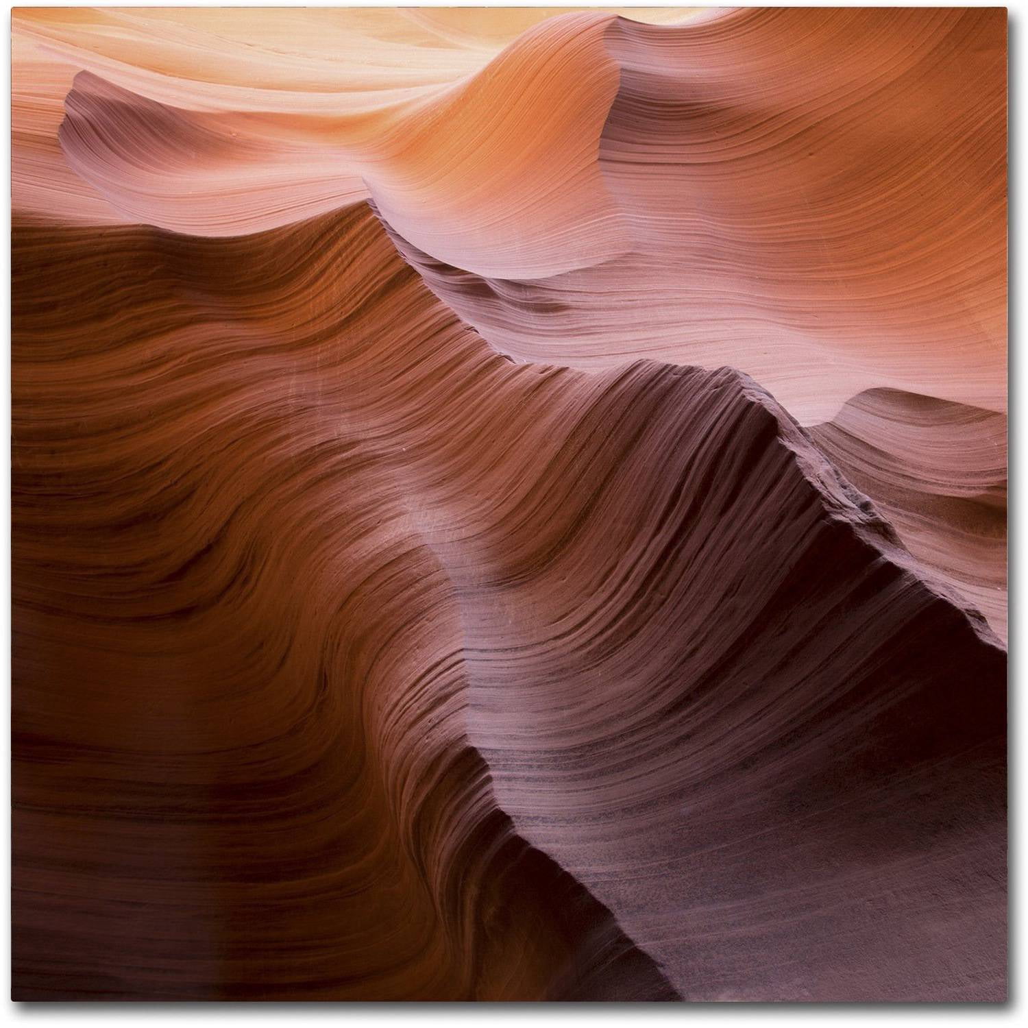 Trademark Fine Art "Smooth I" Canvas Art by Moises Levy