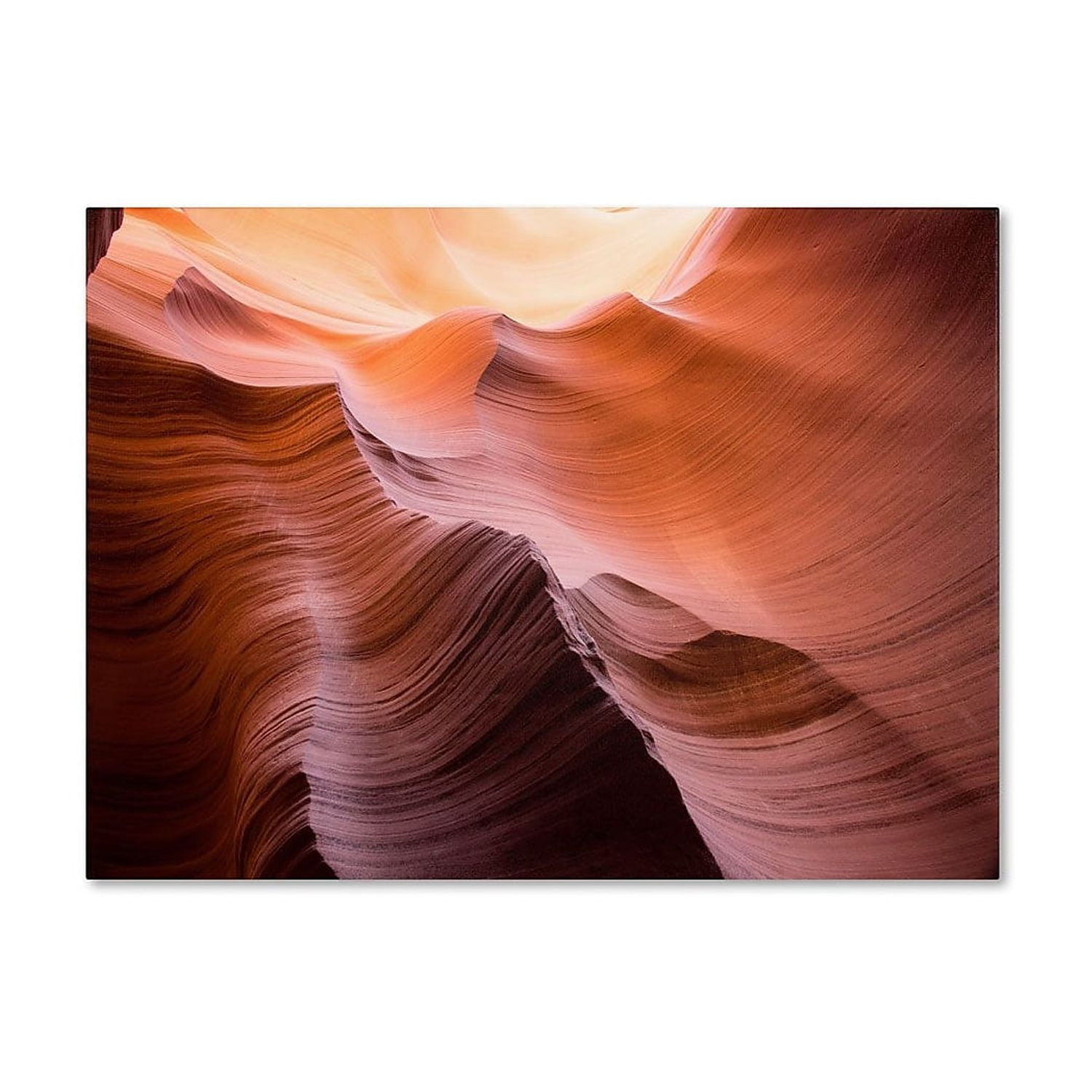 Trademark Fine Art "Smooth II" Canvas Art by Moises Levy