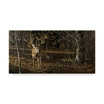 Trademark Fine Art 'Sneaking Through Whitetail' Canvas Art by Wilhelm Goebel