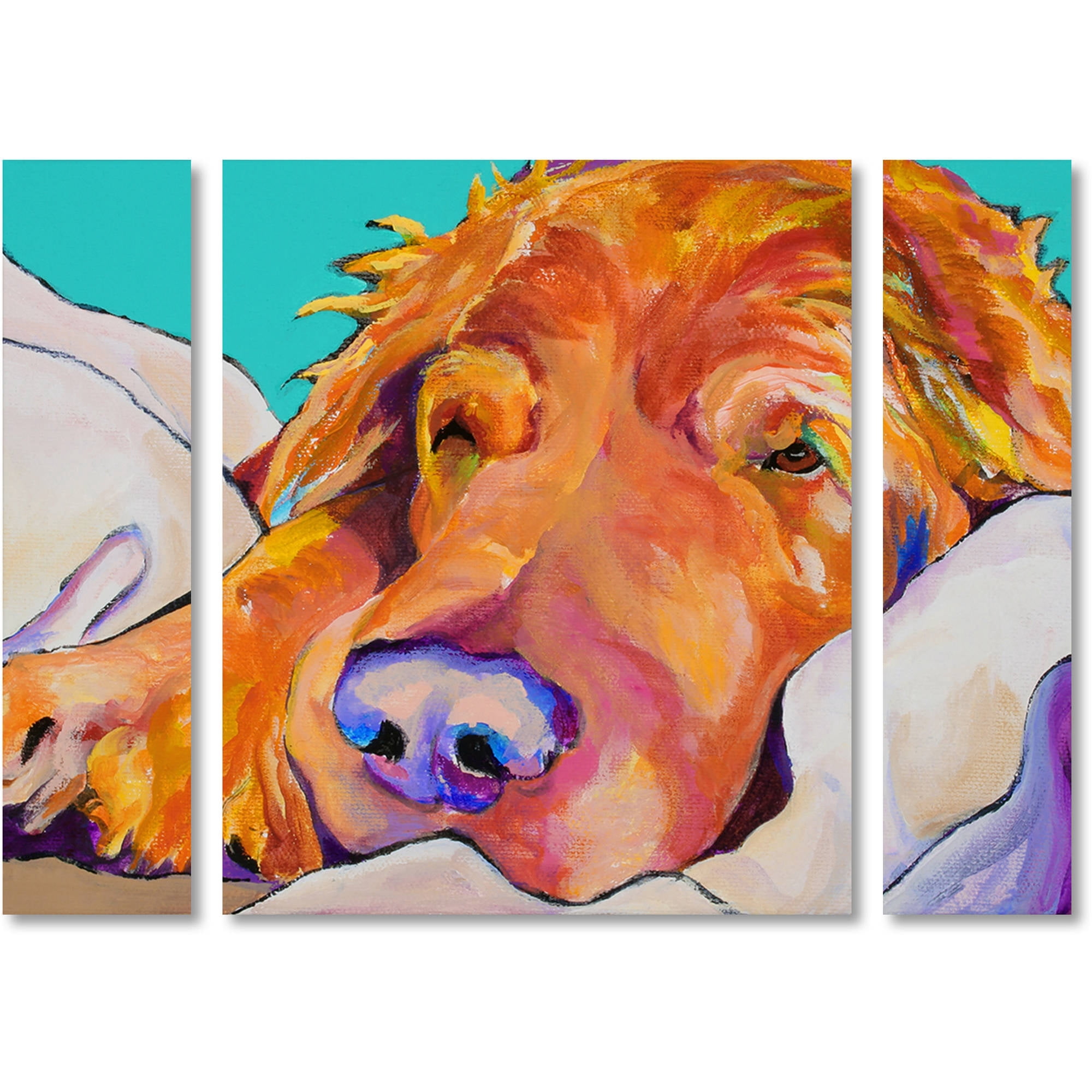 Trademark Fine Art "Snoozer King" Canvas Art by Pat Saunders-White Three Panel Set