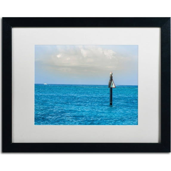 Trademark Fine Art "Snorkel Spot 4" Canvas Art by Yale Gurney, White Matte, Black Frame