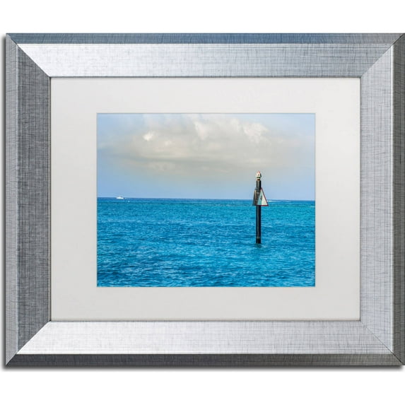 Trademark Fine Art "Snorkel Spot 4" Canvas Art by Yale Gurney, White Matte, Silver Frame