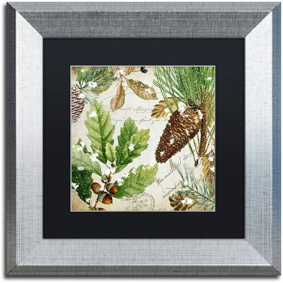 Trademark Fine Art "Snow Cones II" Canvas Art by Color Bakery Black Matte, Silver Frame