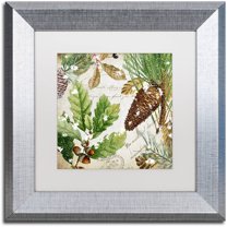 Trademark Fine Art "Snow Cones II" Canvas Art by Color Bakery White Matte, Silver Frame