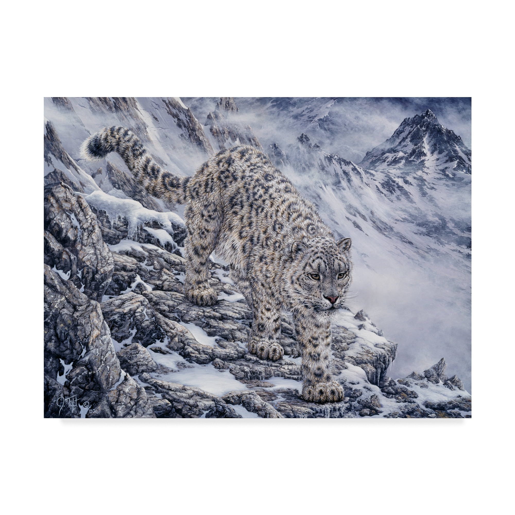 Trademark Fine Art 'Snow Leopard' Canvas Art by Jeff Tift