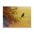 thumbnail image 1 of Trademark Fine Art 'Snow Oak Junco' Canvas Art by Chris Vest, 1 of 4