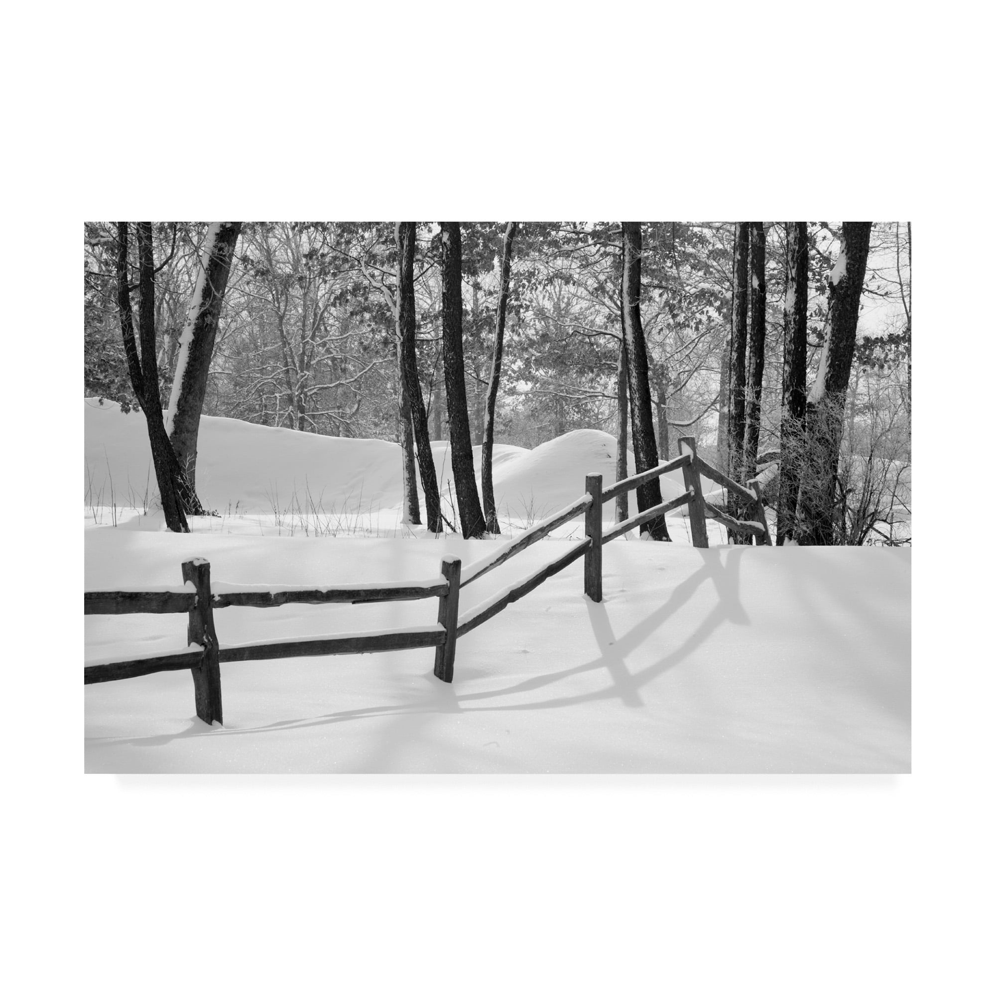 Monte Nagler Snowy Forest Landscape Canvas Print, 22 x 32