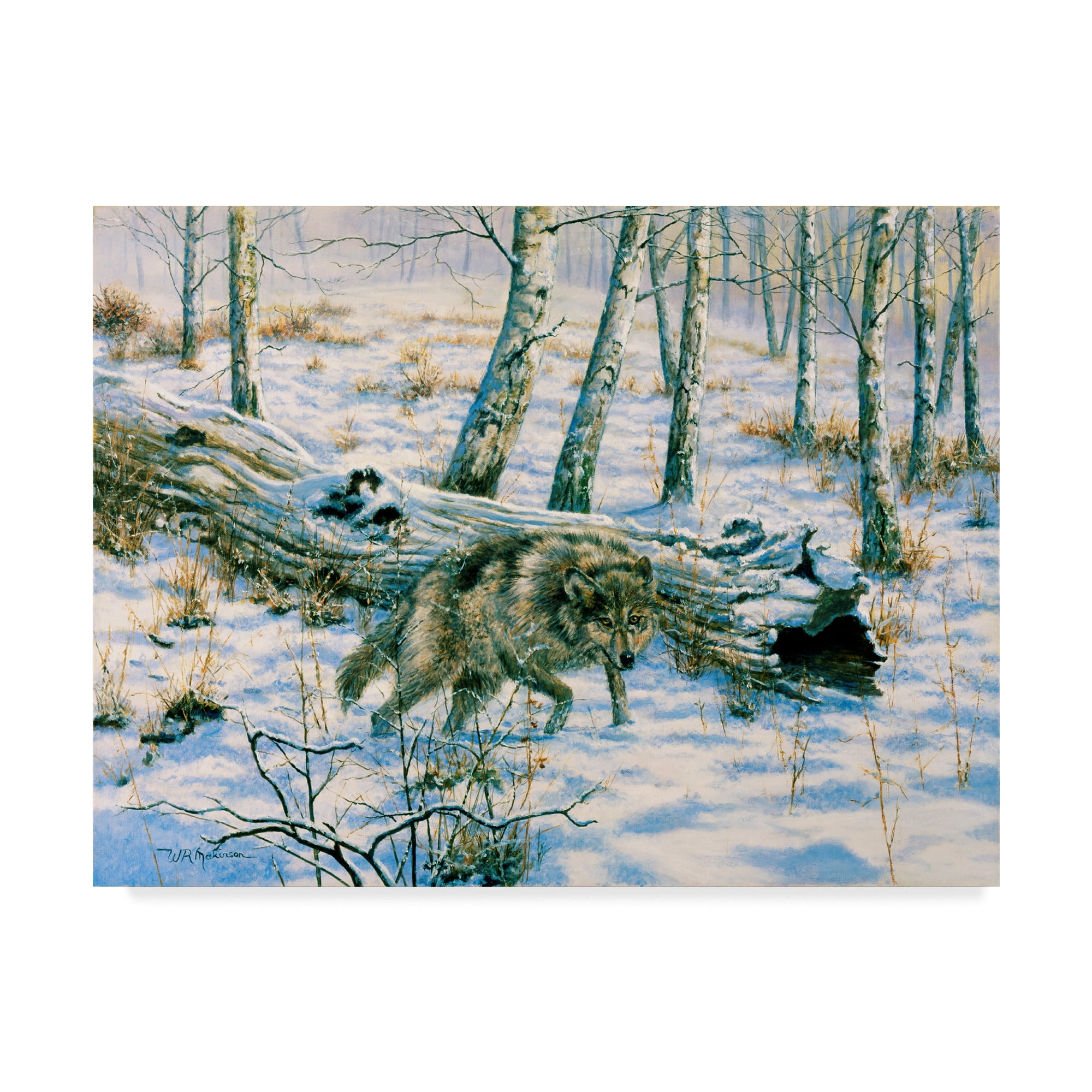 Trademark Fine Art 'Snow Wolf' Canvas Art by Bill Makinson