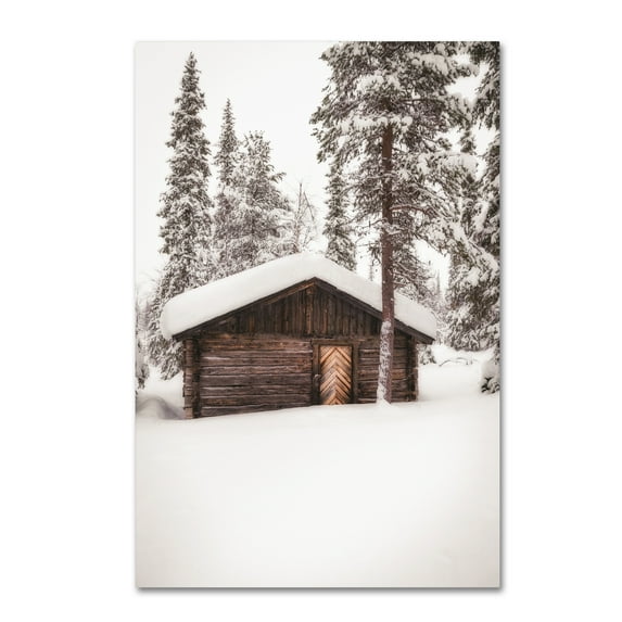 Trademark Fine Art 'Snow of Finland' Canvas Art by Philippe Sainte-Laudy