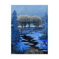 thumbnail image 1 of Trademark Fine Art 'Snowman In Winter' Canvas Art by Bonnie B Cook, 1 of 3