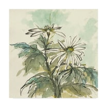 Trademark Fine Art 'Snowmum II' Canvas Art by Chris Paschke