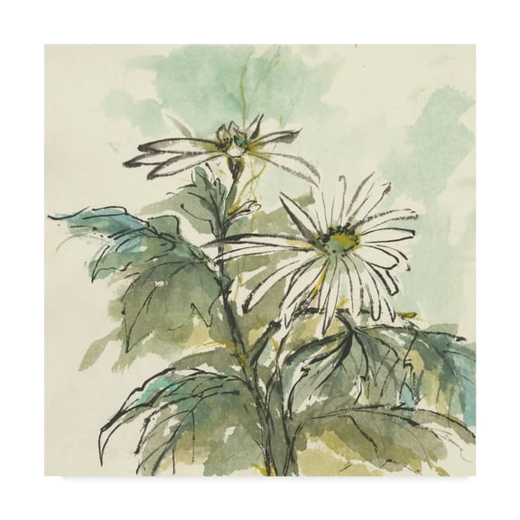 Trademark Fine Art 'Snowmum II' Canvas Art by Chris Paschke