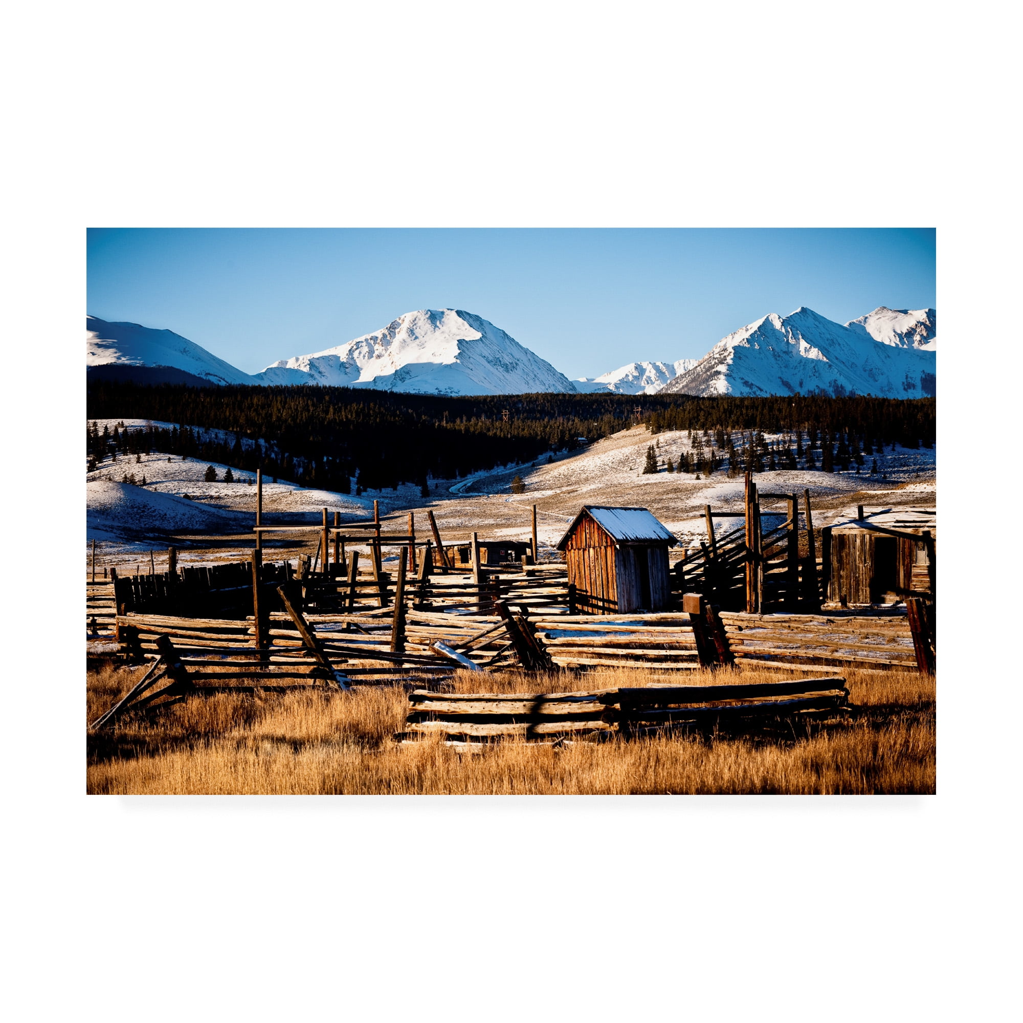 Trademark Fine Art 'Snowy Corral' Canvas Art by Dan Ballard