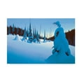 thumbnail image 1 of Trademark Fine Art 'Snowy Dawn' Canvas Art by Ron Parker, 1 of 3