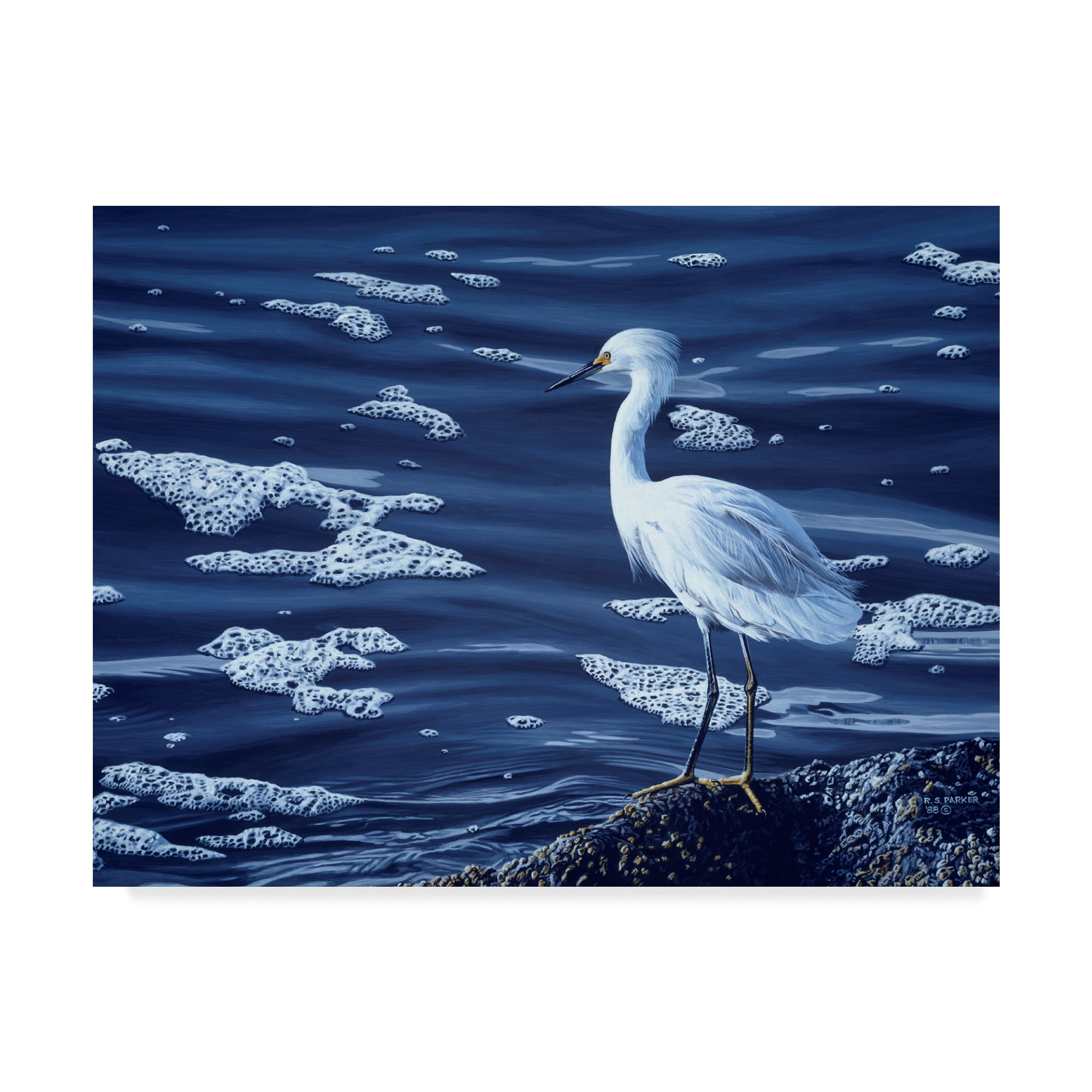 Trademark Fine Art 'Snowy Egret' Canvas Art by Ron Parker