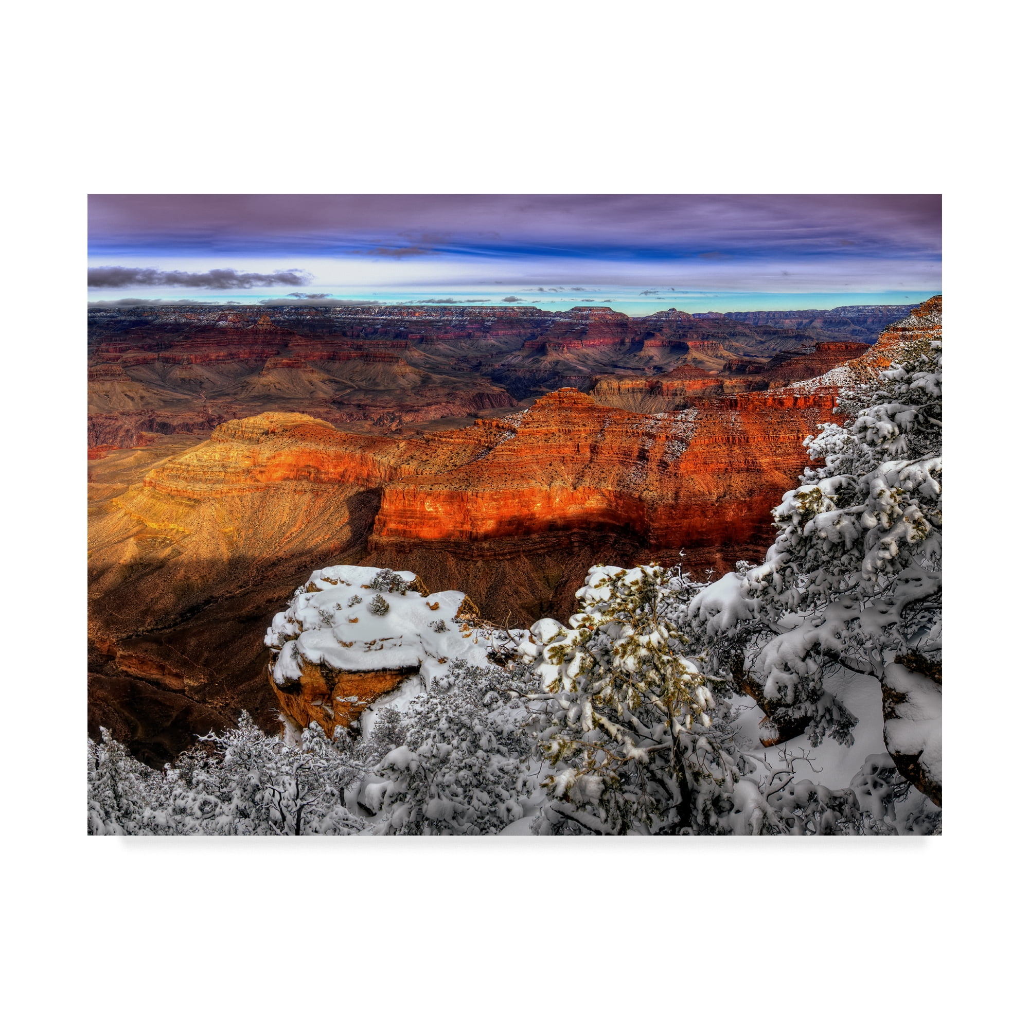 Trademark Fine Art 'Snowy Grand Canyon IV' Canvas Art by David Drost