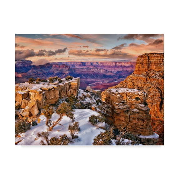 Trademark Fine Art 'Snowy Grand Canyon V' Canvas Art by David Drost