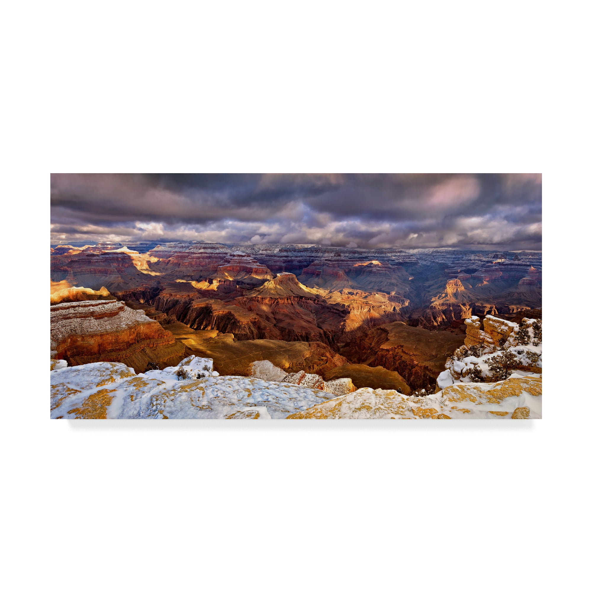 Trademark Fine Art 'Snowy Grand Canyon VI' Canvas Art by David Drost