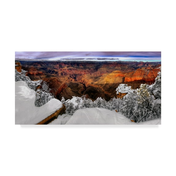 Trademark Fine Art 'Snowy Grand Canyon VII' Canvas Art by David Drost
