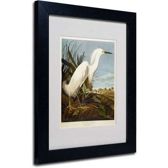 Trademark Fine Art "Snowy Heron" Canvas Art by John James Audubon, Black Frame