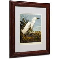 Trademark Fine Art "Snowy Heron" Canvas Art by John James Audubon, Wood Frame