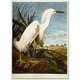 thumbnail image 1 of Trademark Fine Art "Snowy Heron" Canvas Art by John James Audubon, 1 of 4