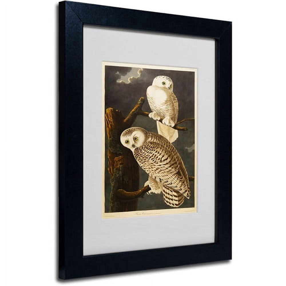 Trademark Fine Art "Snowy Owl" Canvas Art by John James Audubon, Black Frame